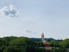 -中原大佛景区