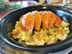 -碧丽宫大酒店(召稼楼店)