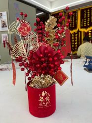 -臻康乃馨月子中心(凯宾斯基店)