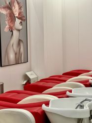 -Meng Lang 梦郎白金店