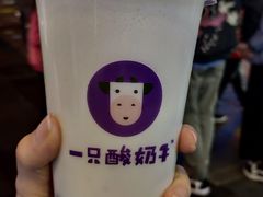 -一只酸奶牛(八一路店)