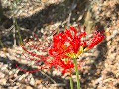 -天台山赤城山景区