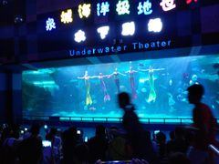 -泉城欧乐堡海洋极地世界