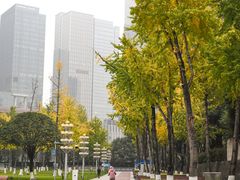 -重庆市江北嘴中央商务区中央公园