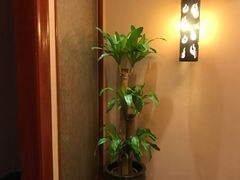 -深圳凯宾斯基酒店