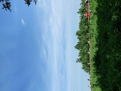 -江苏三台山国家森林公园