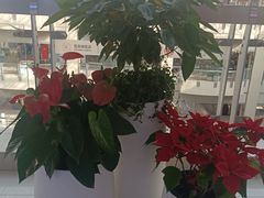 -百荣世贸商城