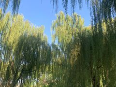 -玲珑塔公园