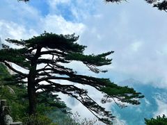 -黄山风景区