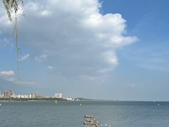 -洱海月湿地公园