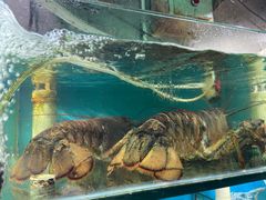 -名超海鲜烧烤大排档