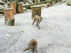 -姑婆山旅游区