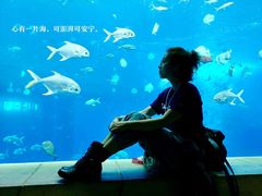 -亚特兰蒂斯•OSSIANO奥西亚诺海底餐厅