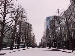 -北海道厅旧本厅舍(旧本庁舎)