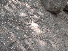 -上海佘山国家森林公园天马山园