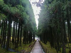 -玉苍山国家森林公园
