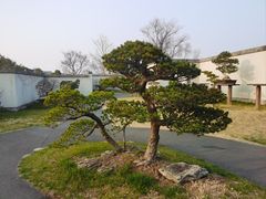 -扬州大运河文化旅游度假区·盆景园