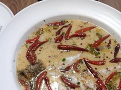 -首秀·四川料理(星耀101店)