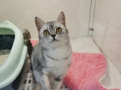 -1013 PET SHOP 宠物商店(近铁城市广场店)