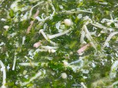 -品渔味湖鲜馆(拈花湾店)