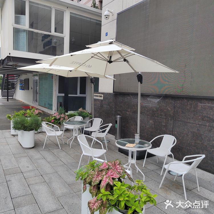 清新简约咖啡时光，周日来五道口小cafe 