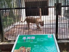-广东茂名森林公园