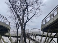 -金海湾滨江公园