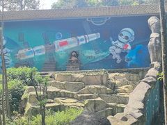 -中国大熊猫保护研究中心雅安碧峰峡基地