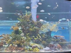 -太平洋海底世界