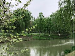 -西安浐灞国家湿地公园
