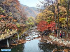 -关门山森林公园