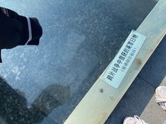 -上海吴淞炮台湾国家湿地公园