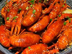 -肥肥虾庄·金牌油焖大虾(沙湖店)
