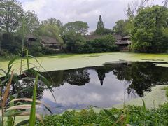 -烟水渔庄餐厅(西溪湿地店)