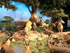 -国家自然博物馆