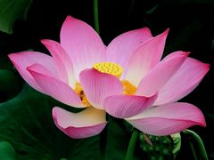 -渭南桃花源民俗文化园