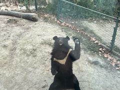 -成都动物园