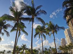 -希尔顿夏威夷度假村之希尔顿分时度假俱乐部套房酒店