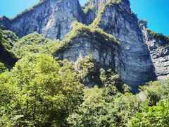 -鹿院坪生态旅游景区
