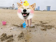 -烟台金沙滩海滨公园