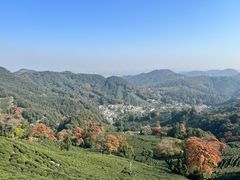 -西湖风景区十里琅珰-五云山