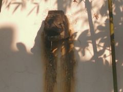 -观唐（国际）度假村温泉