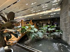 -新廊桥(原科华廊桥店)