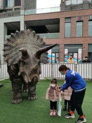 -恐龙探索乐园(磁器口店)