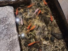 -邈墨茶馆(凤起路店)