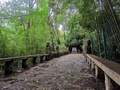 -四门塔风景区