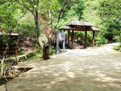 -天女山森林公园