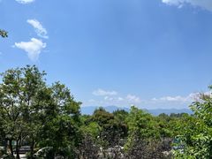 -抚仙湖万达文华酒店