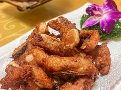 -兴隆槟榔园休闲农庄