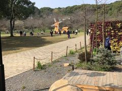 -苏州上方山国家森林公园